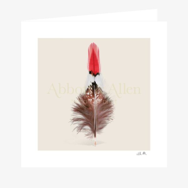 Red Copper Fire Tip Pheasant Tail Feather Greetings Card