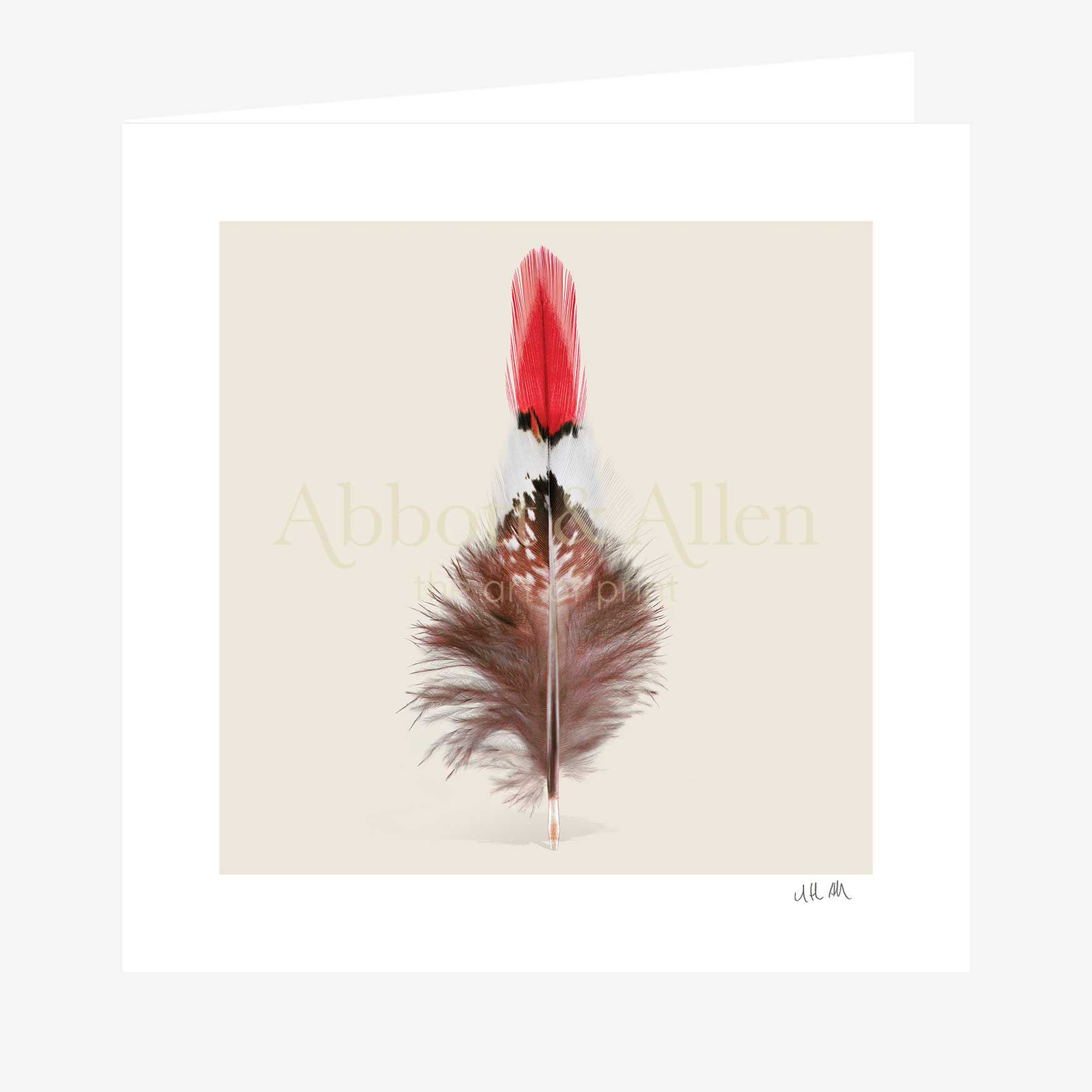 FE009-Fire-tipped-pheasant-card