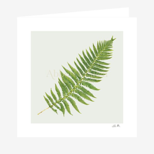 Fern Greetings Card