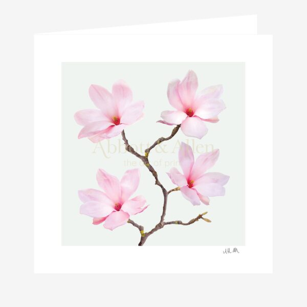 Pink Magnolia Greetings Card