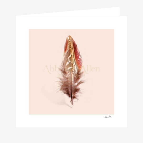 Cock Pheasant Feather Greetings Card