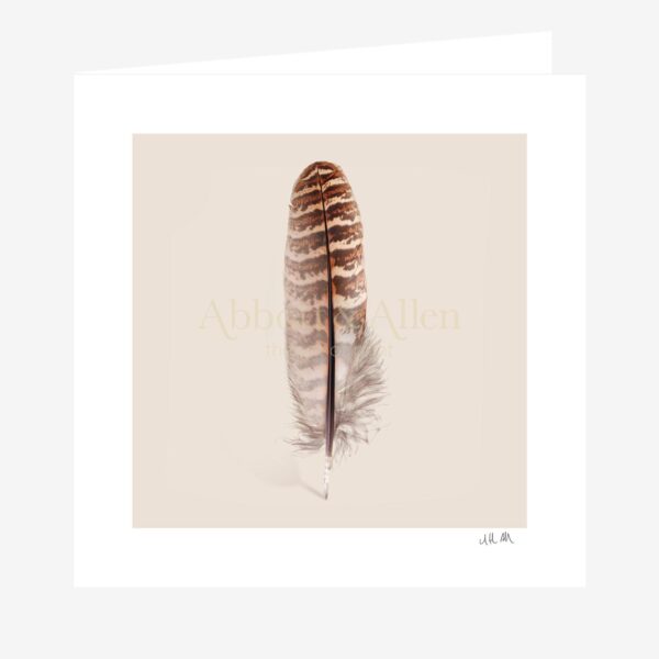 Hen Pheasant Feather Greetings Card