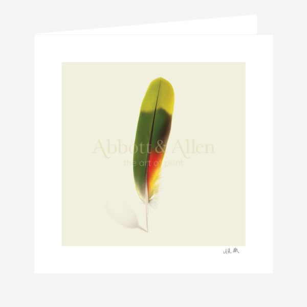 Amazon Parrot Tail Feather Greetings Card
