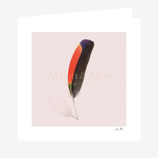 Amazon Parrot Wing Feather Greetings Card
