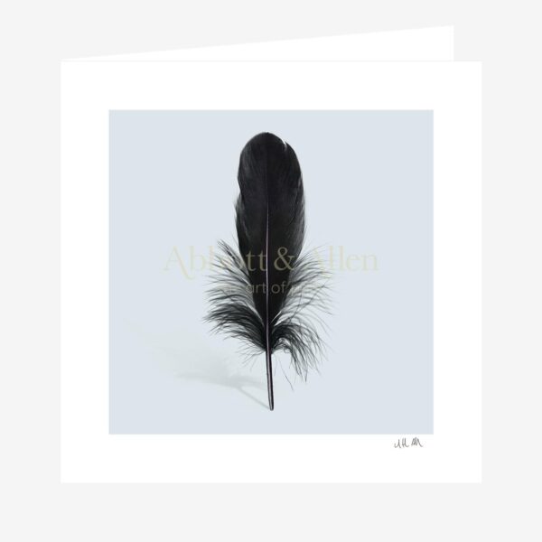 Black Goose Feather Greetings Card
