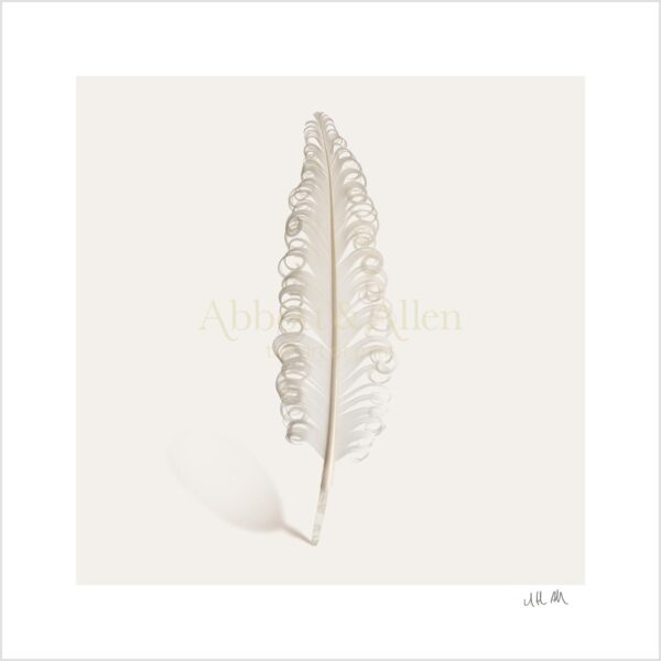 Curly Nagoire Goose Feather Print