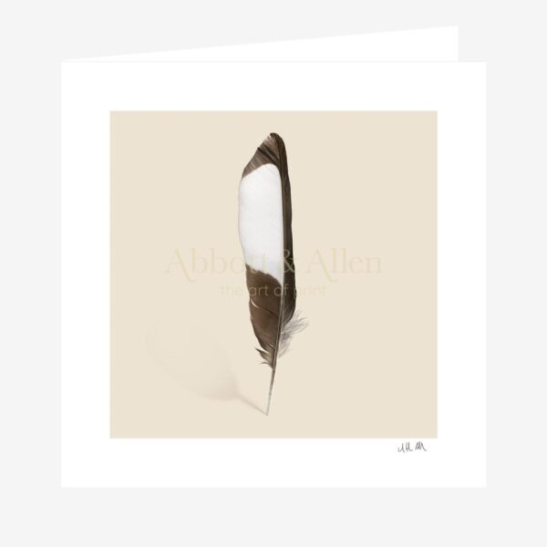 Magpie Feather Greetings Card