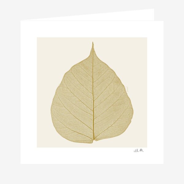 Leaf Skeleton Greetings Card