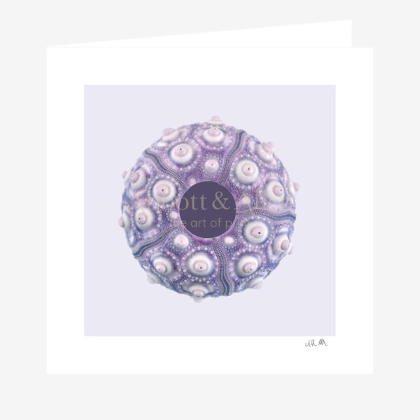 Sputnik Sea Urchin Greetings Card