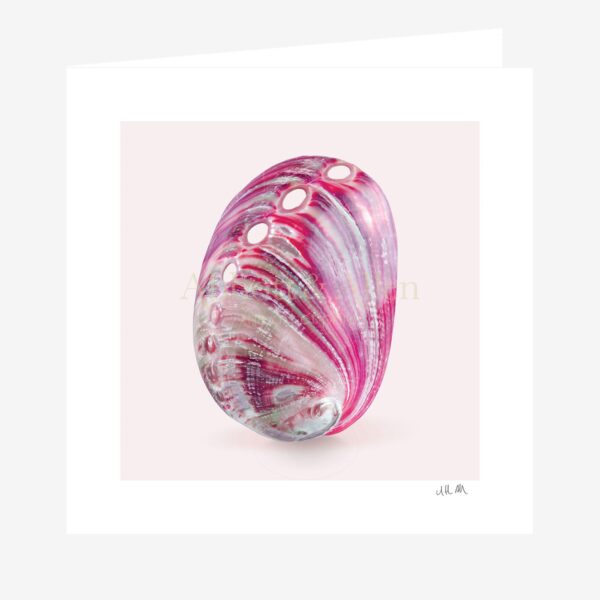 Abalone Seashell Greetings Card