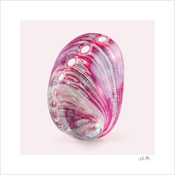 Abalone Seashell Print