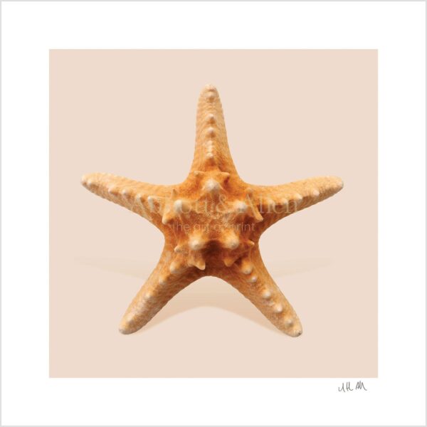 Starfish Print