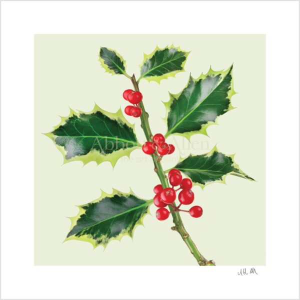 Holly Print