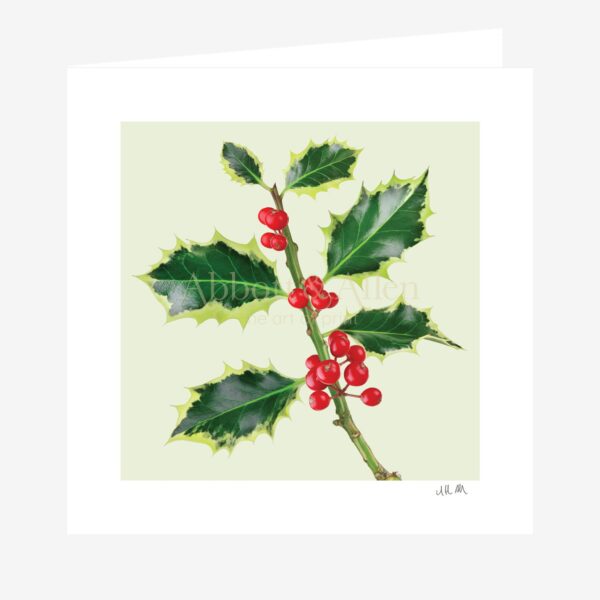 Holly Greetings Card