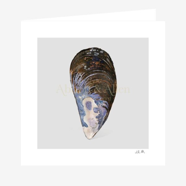 Cornish Mussel Greetings Card